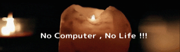 No Computer , No Life !!!
